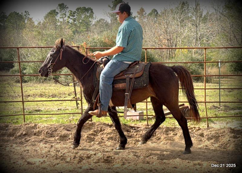 🩷❤️Pixie🩷❤️