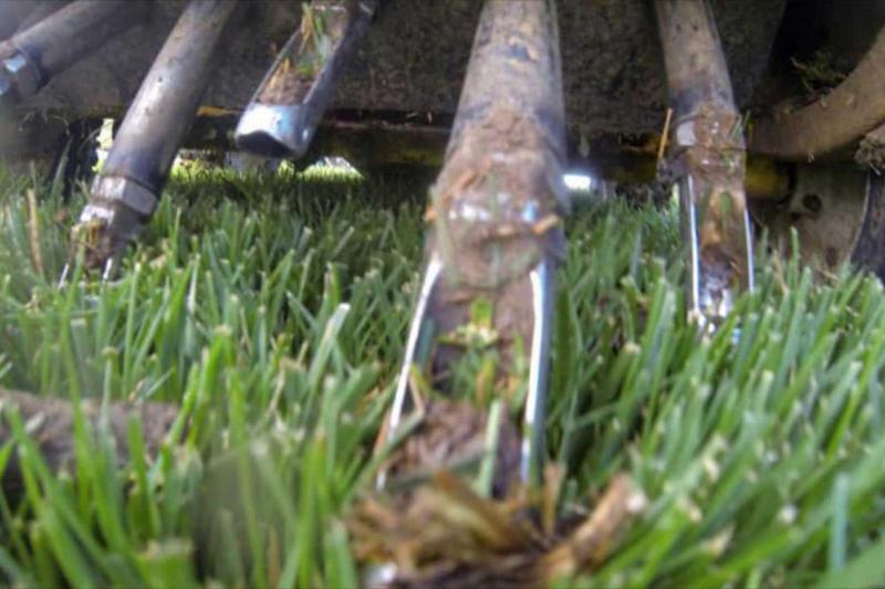 Aeriation &amp; Overseeding