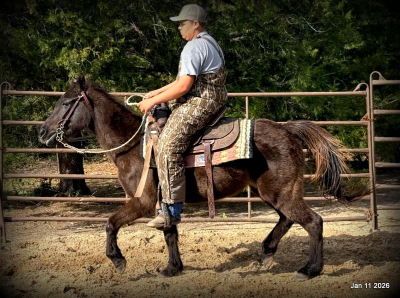 🩷❤️Pixie🩷❤️