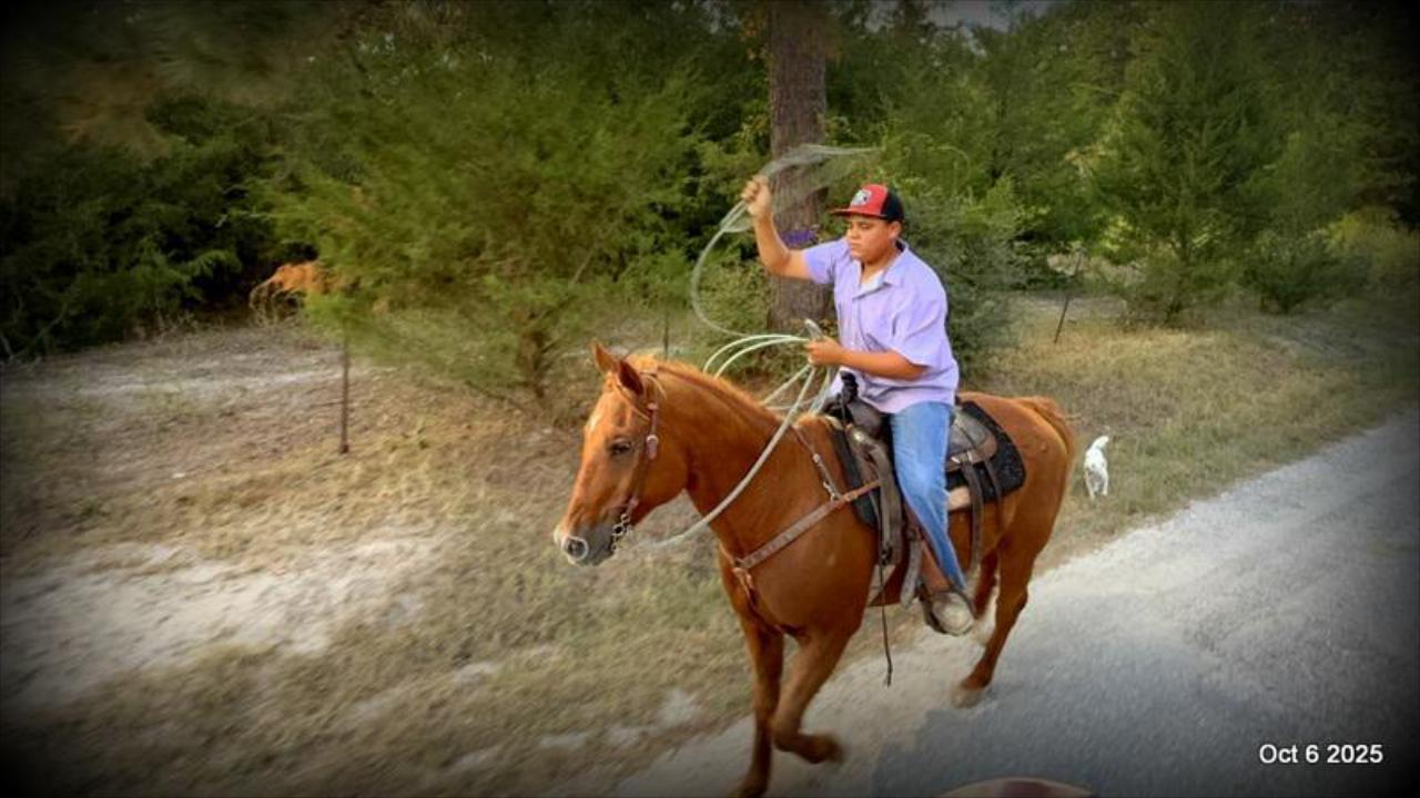 Biggie – Ranch-Tested, Family-Safe, and Ready to Ride!