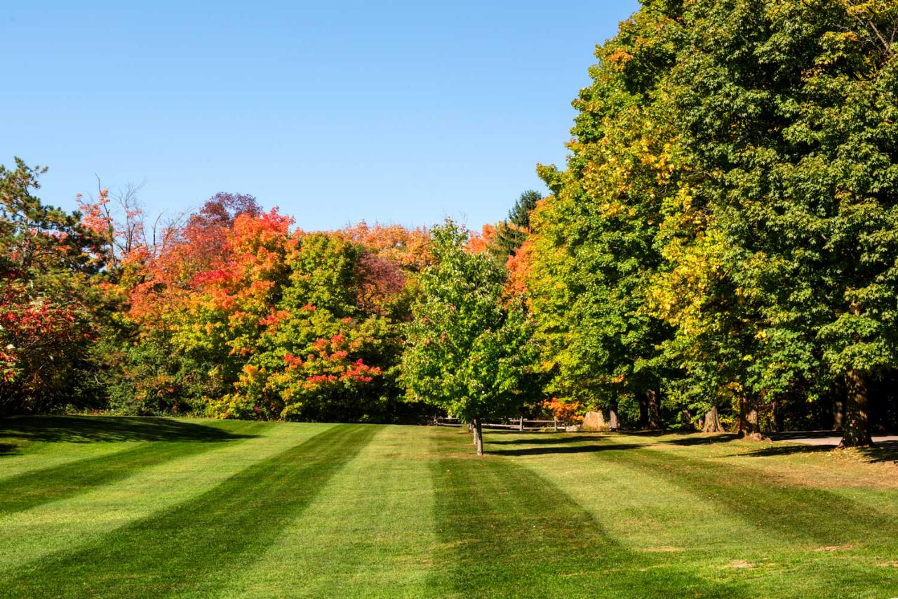 Spring / Fall Clean Up