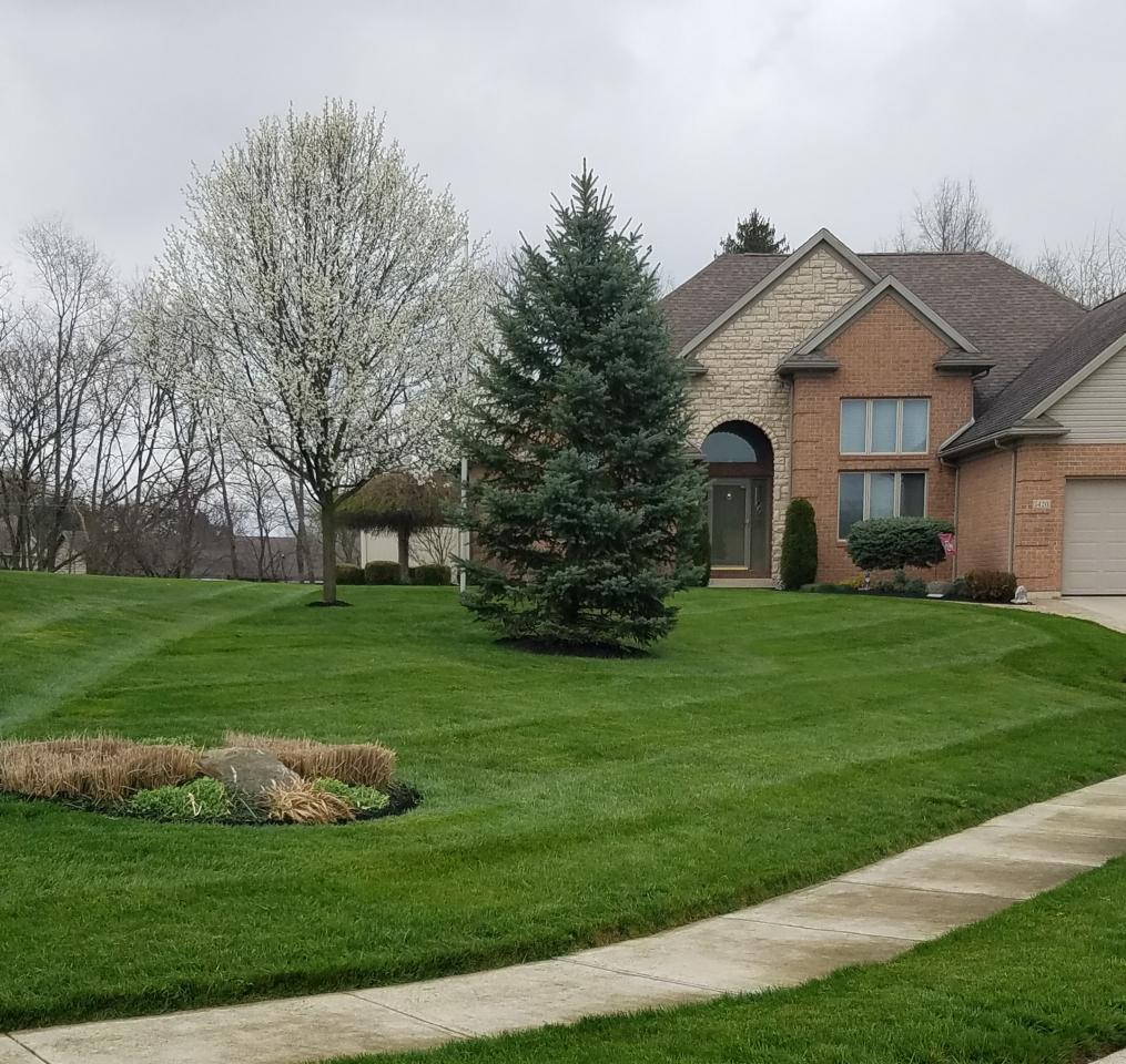 Lawn Mowing & Maintenance