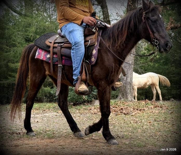 🩷❤️Pixie🩷❤️