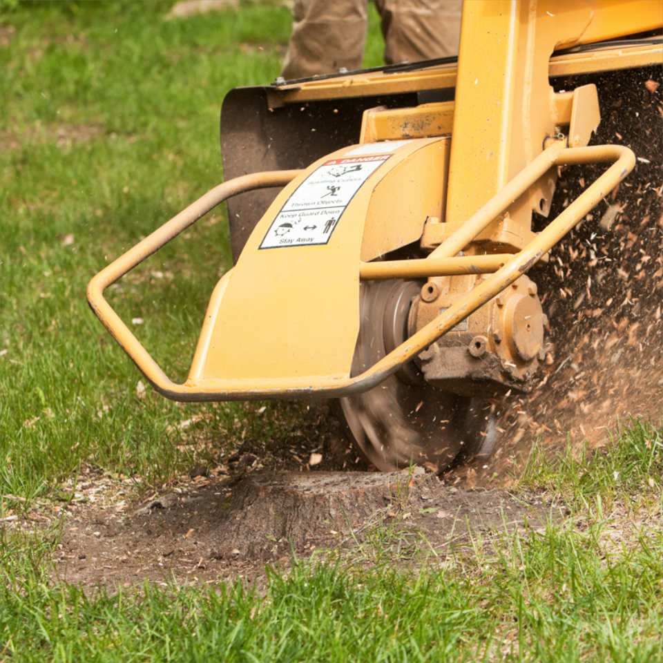 Tree & Stump Removal