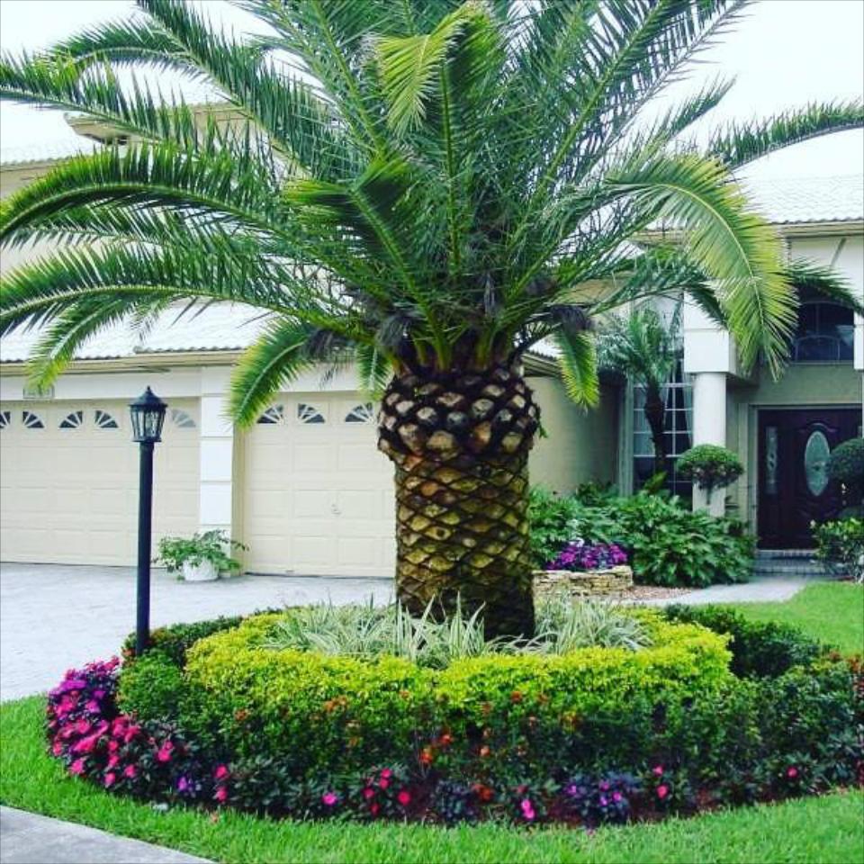 Landscaping Design &amp; Installation