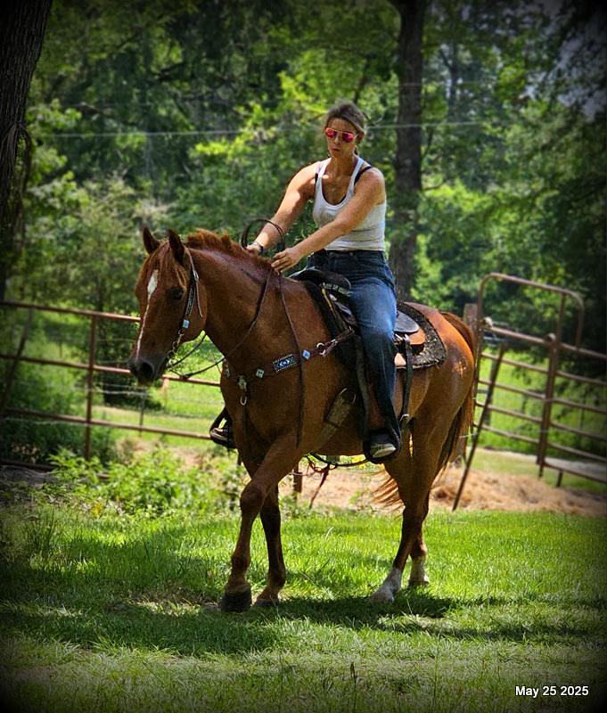 Smart Little Buzz AKA hawk