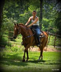 Smart Little Buzz AKA hawk