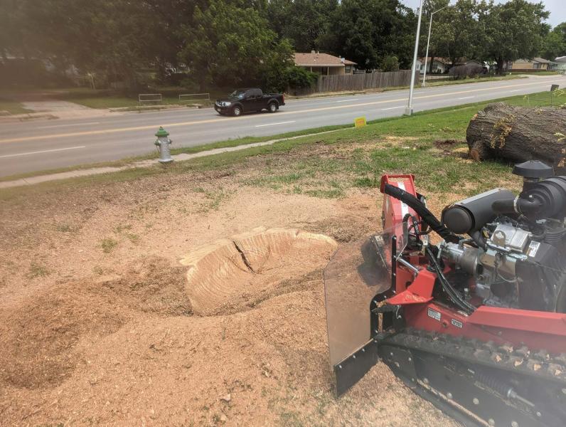 Stump Grinding