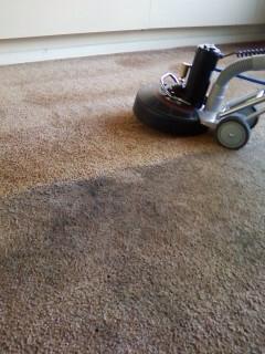 Carpet Cleaning