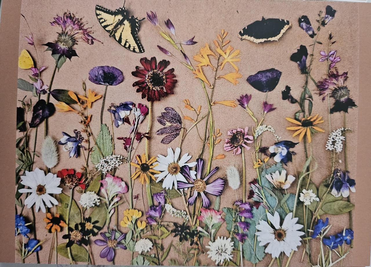 Jubilation Series 10 pack print cards