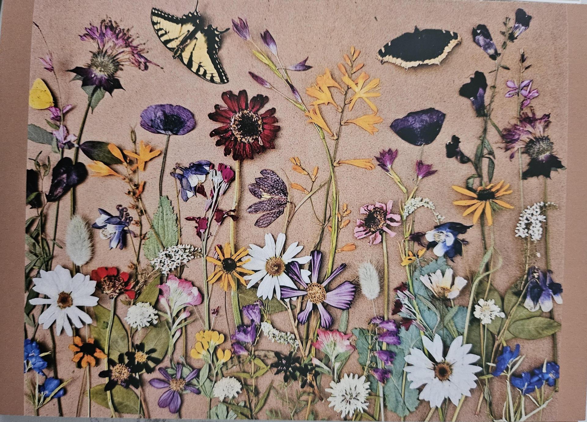 'Butterflies' Print Card Single