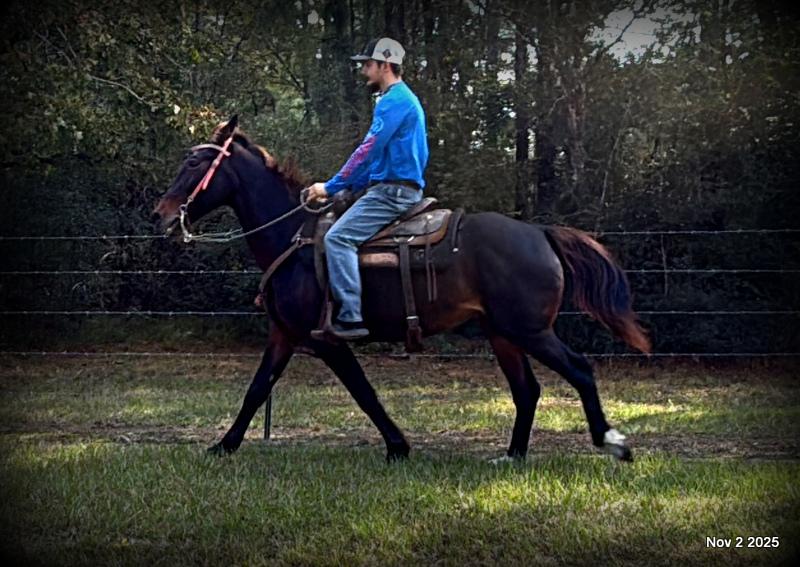 🧡Grace🧡 💔 ✨ The Underdog Who Deserves a Christmas Miracle ✨ 💔
