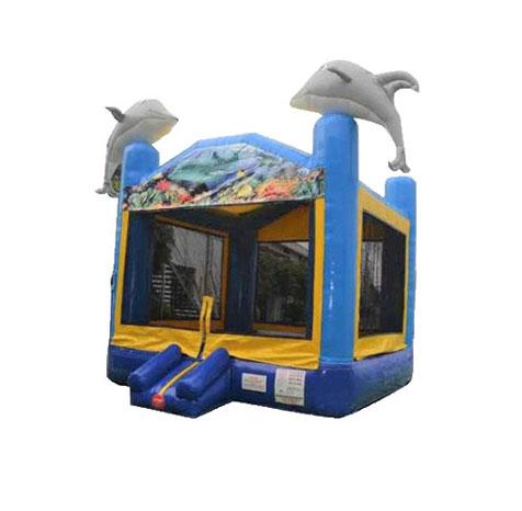 Dolphin Bouncer