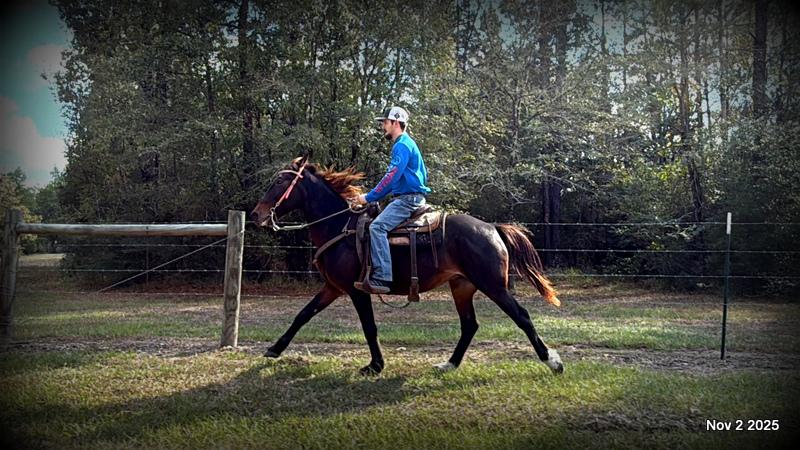 🧡Grace🧡 💔 ✨ The Underdog Who Deserves a Christmas Miracle ✨ 💔