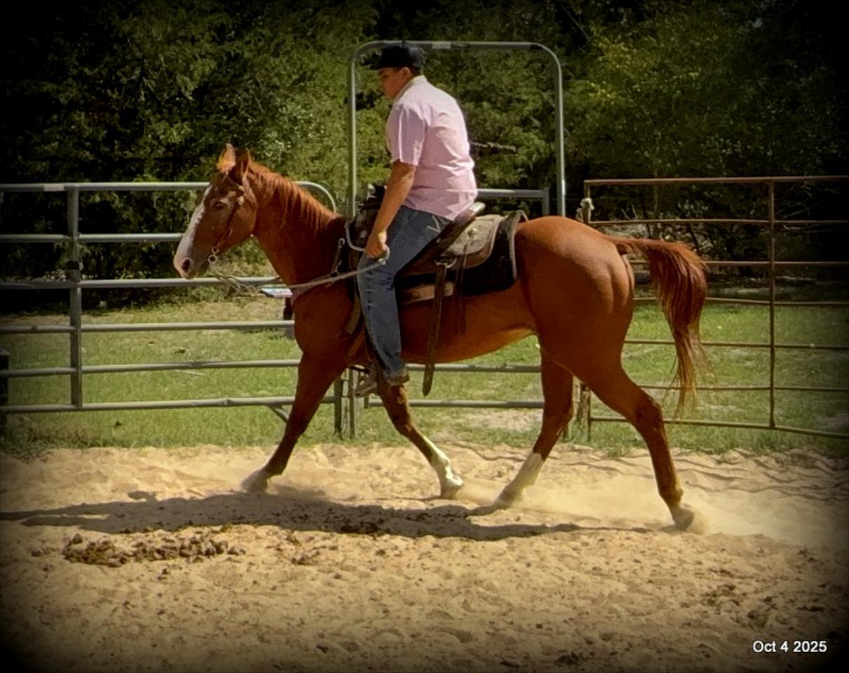 Ranger Safe for All Ages