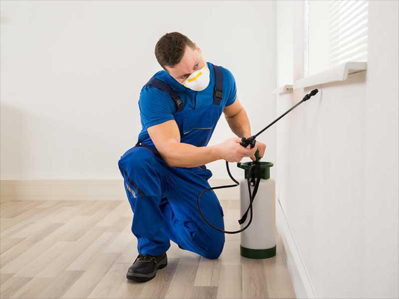 What can I expect from Barones Pest Control visiting my home?&nbsp;