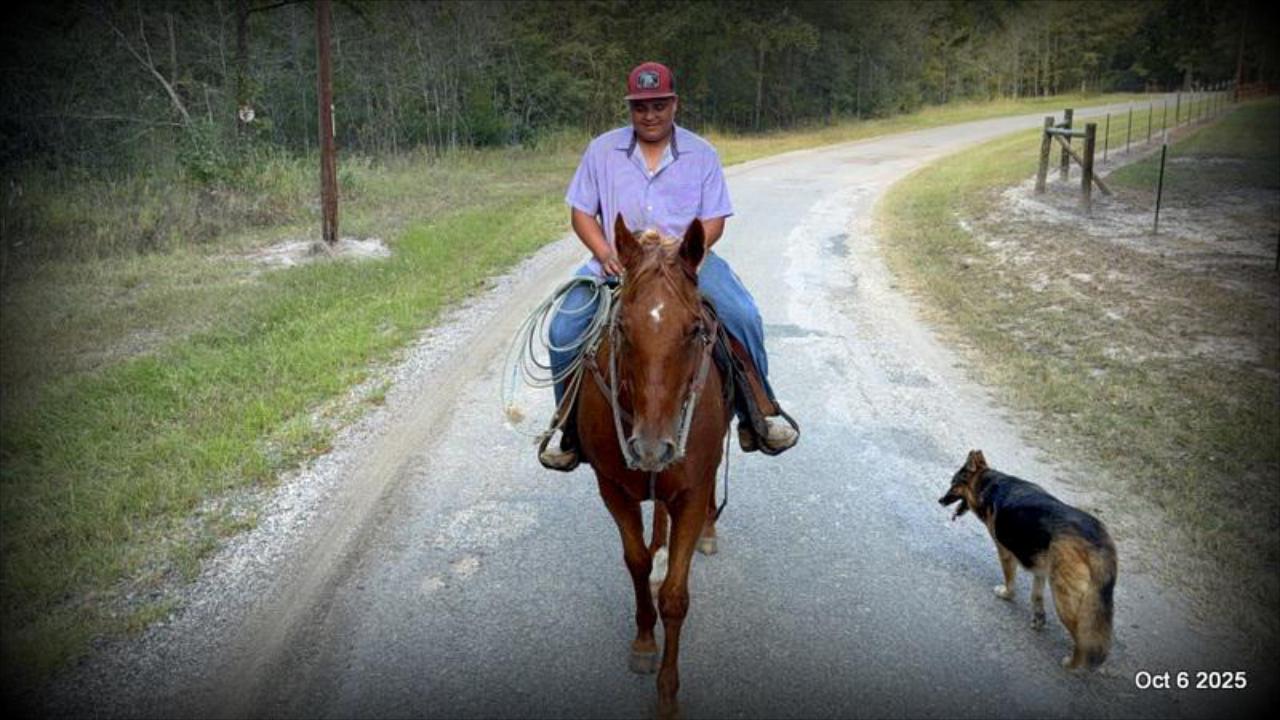 Biggie – Ranch-Tested, Family-Safe, and Ready to Ride!
