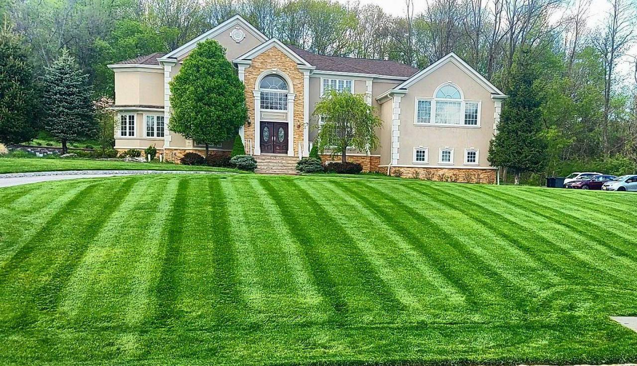 Lawn Mowing & Maintenance