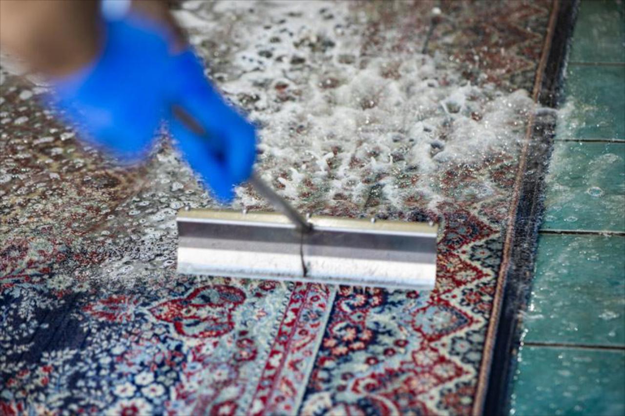 Rug Cleaning