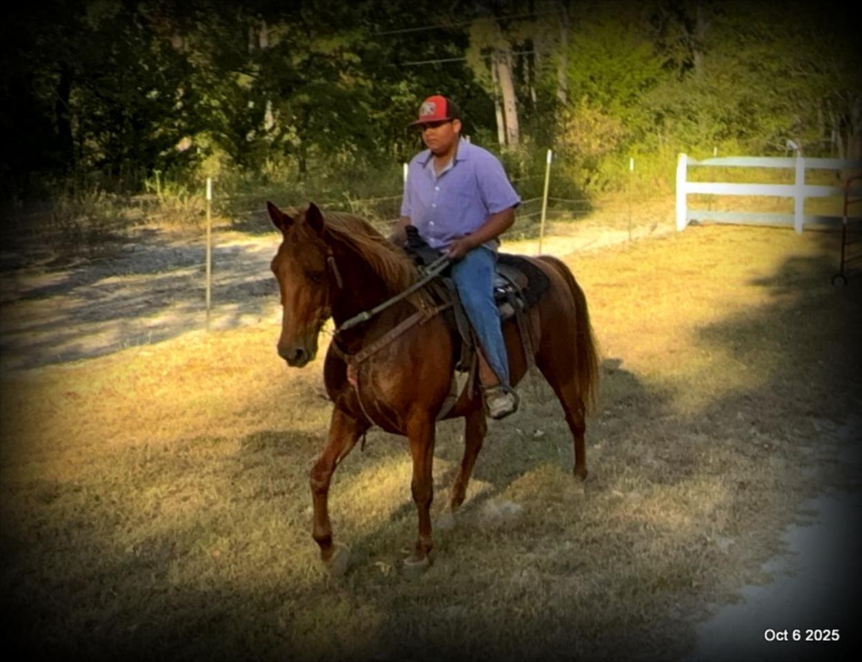 🌹 Meet Missouri – The Mare That Makes Every Ride Feel Like Home 🌹