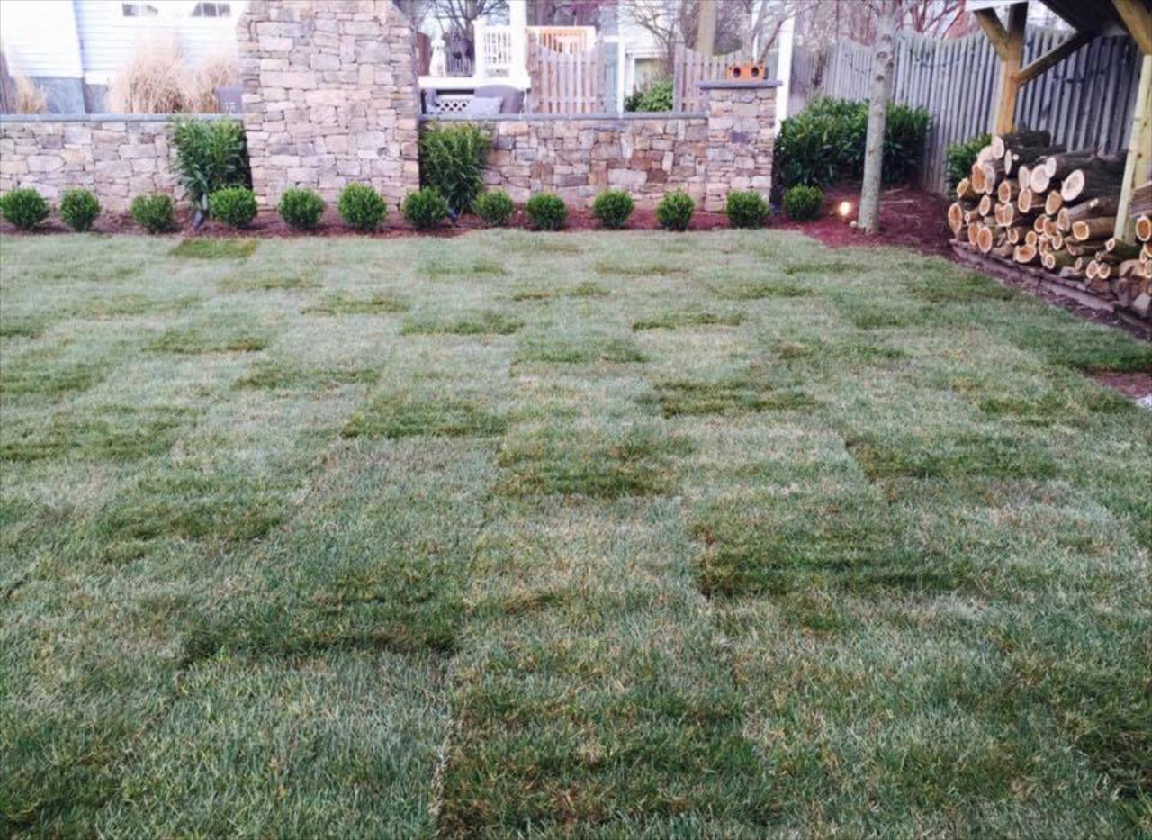 Sod Installation