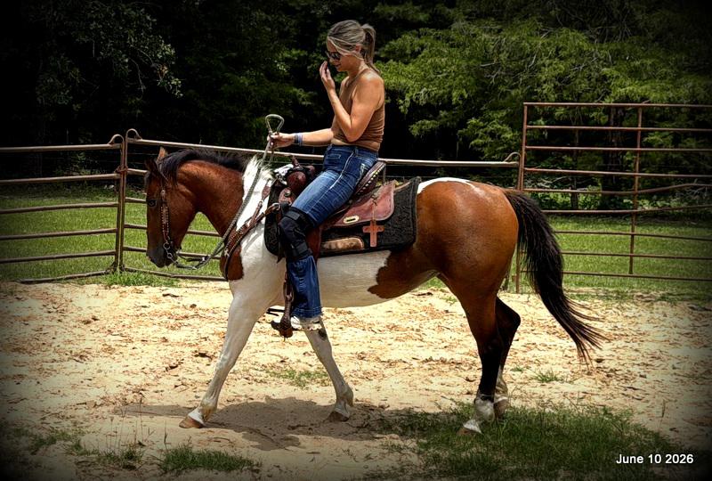 🧡Coca🧡Solid, Sensible Trail Mare 🌟