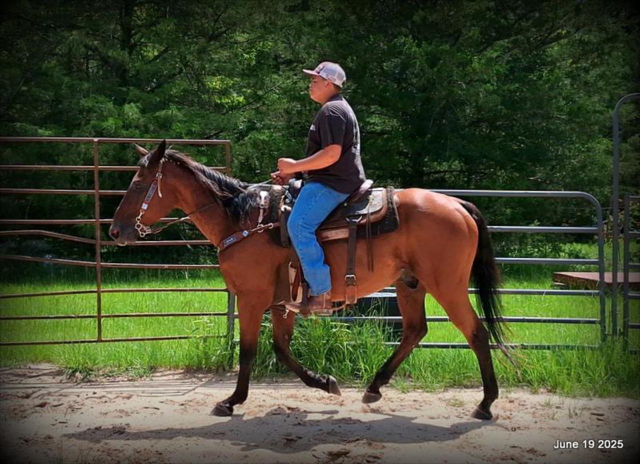 Sammy – A Comeback Story with a Heart of Gold