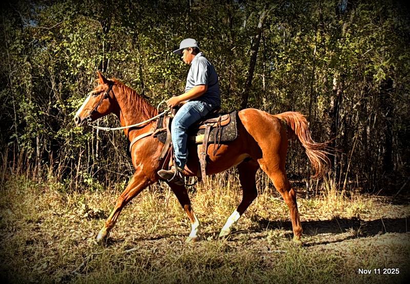 💚Ranger Safe for All Ages💚