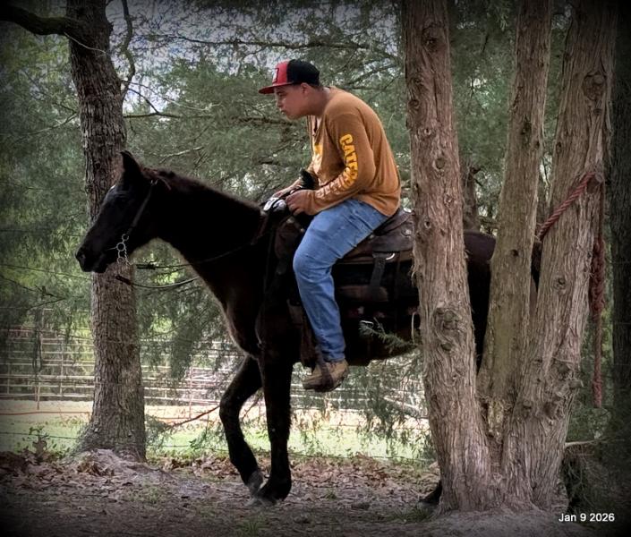 🩷❤️Pixie🩷❤️