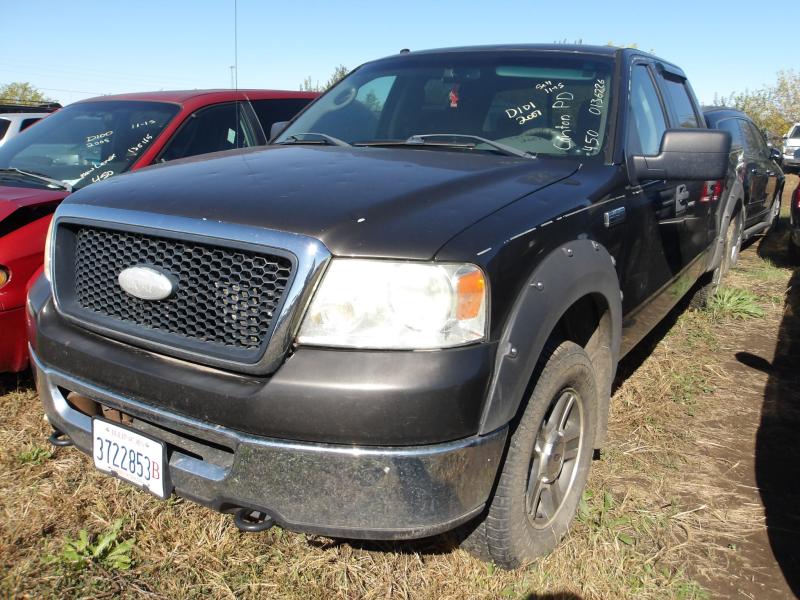 D101 2007 FORD F-150