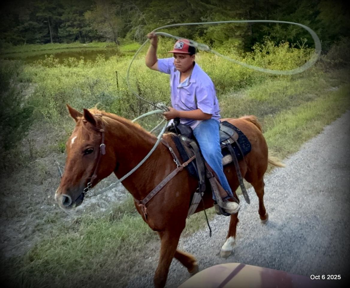 Biggie – Ranch-Tested, Family-Safe, and Ready to Ride!