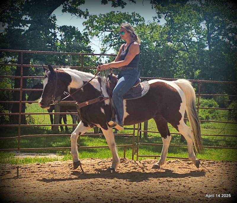 Montana – The Picture-Perfect Partner with All the Right Moves