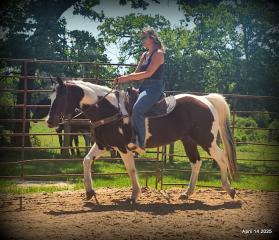 Montana – The Picture-Perfect Partner with All the Right Moves