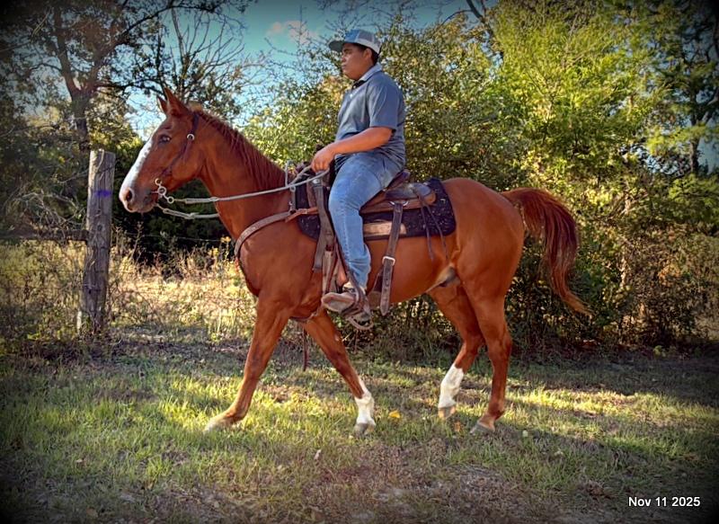 💚Ranger Safe for All Ages💚