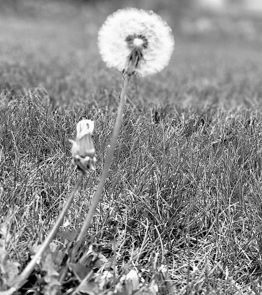 It's your time to shine; allow it to happen