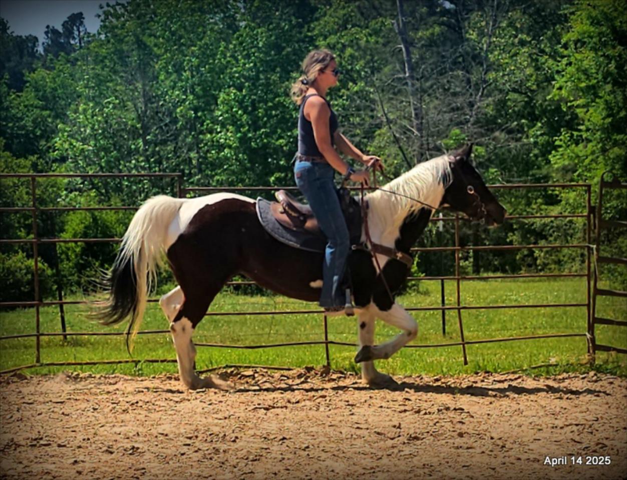 Montana – The Picture-Perfect Partner with All the Right Moves