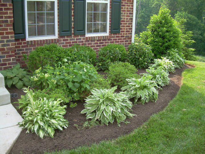 Planting