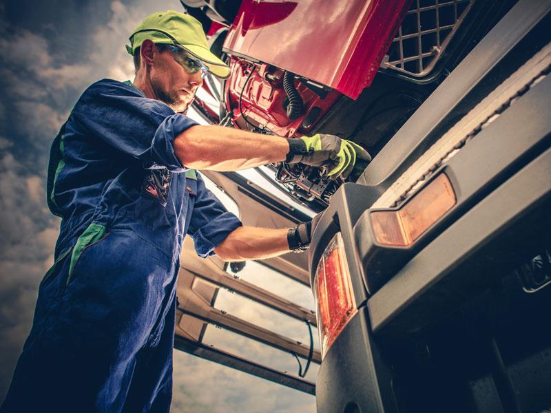 Our Services Include