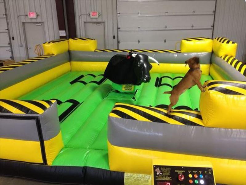Mechanical Bull