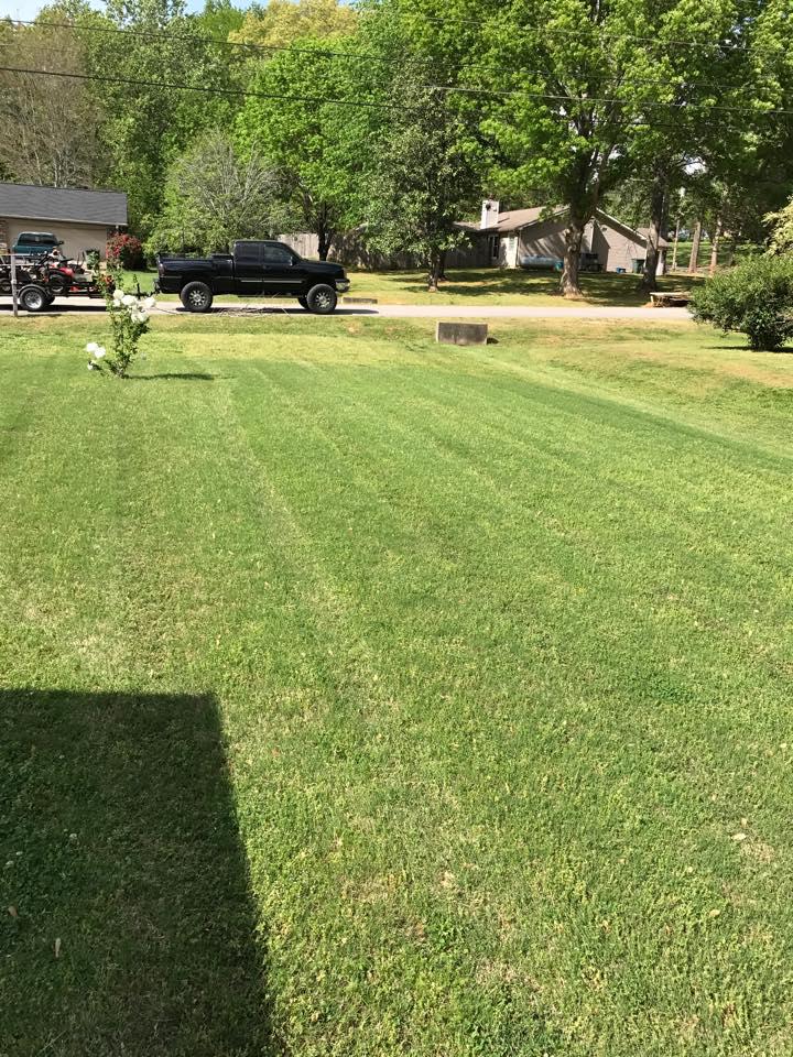 Aerating &amp; Dethatching