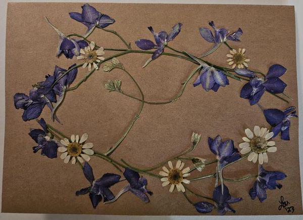 Jubilation Series 10 pack print cards