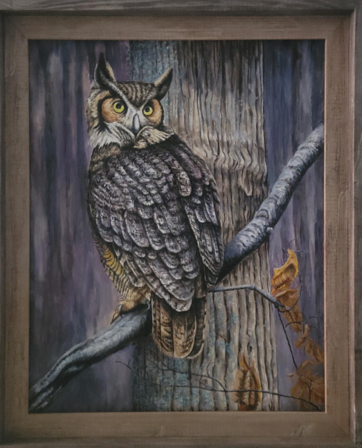 Horned Owl