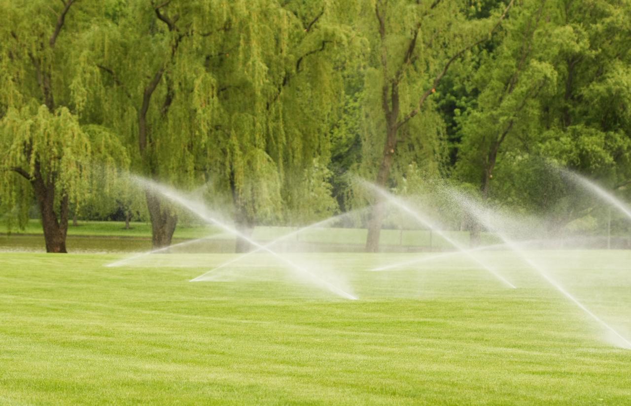 Is your underground sprinkler system leaking? We can fix that!