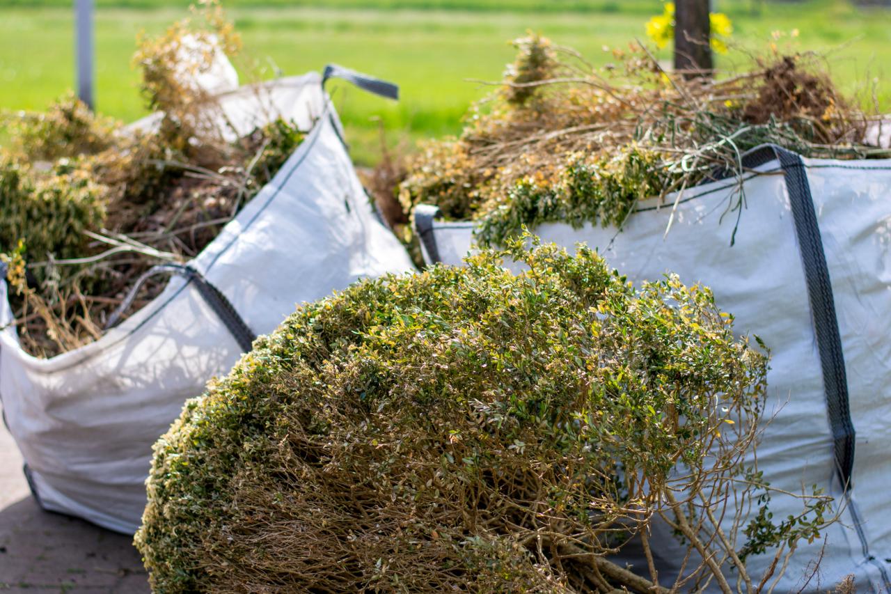 Debris/Storm Clean-Up