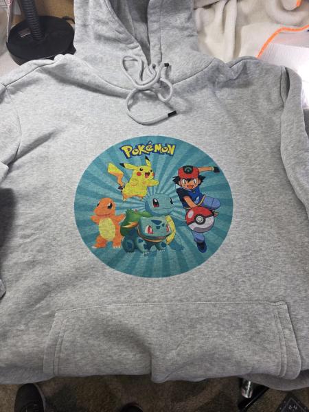 Adult Hooded Sweat shirt