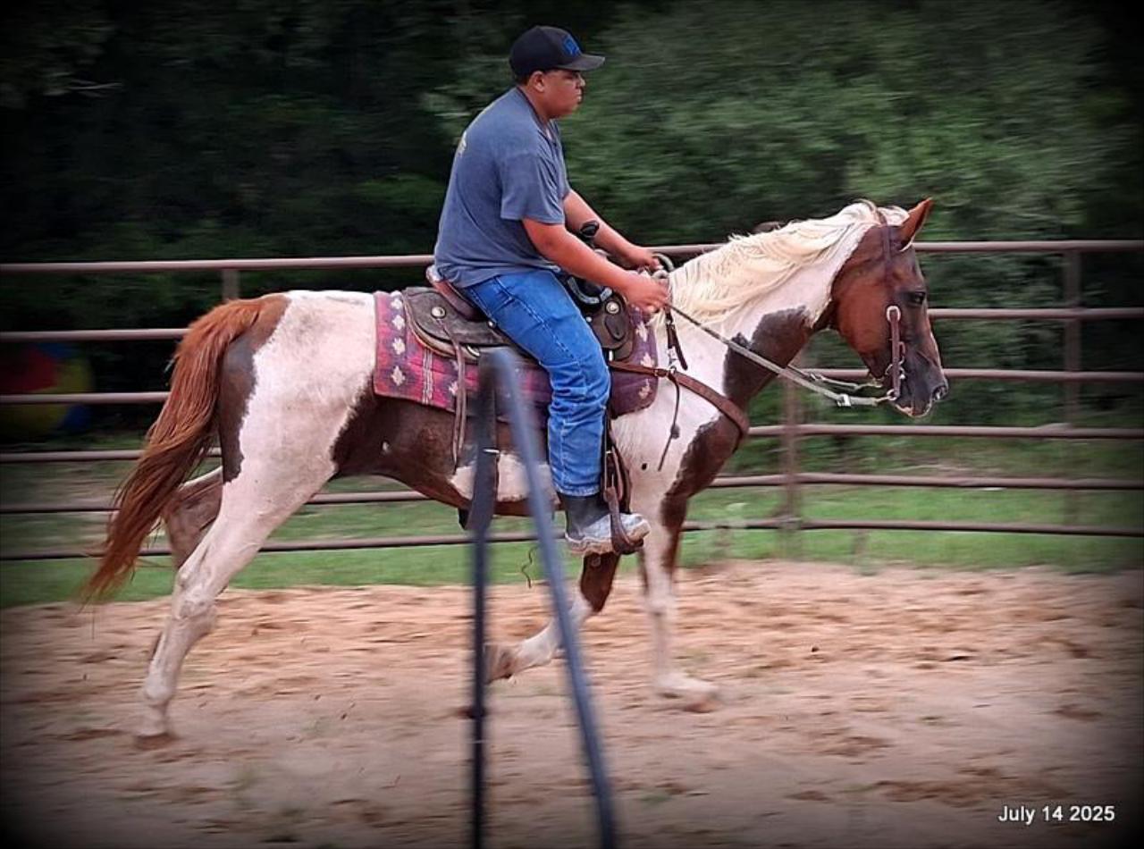 Jazzy – Beautiful Paint Mare with a Heart of Gold