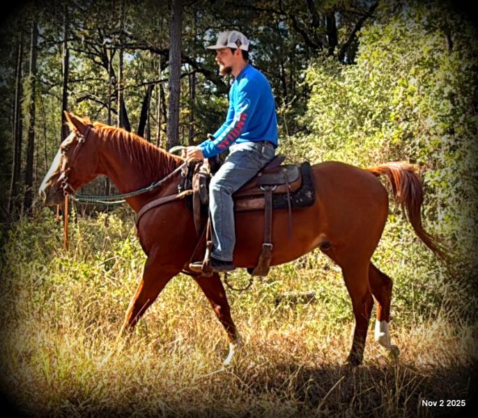 💚Ranger Safe for All Ages💚