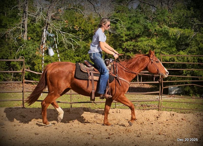 💚Shez Cool and Famous "Cool"💚