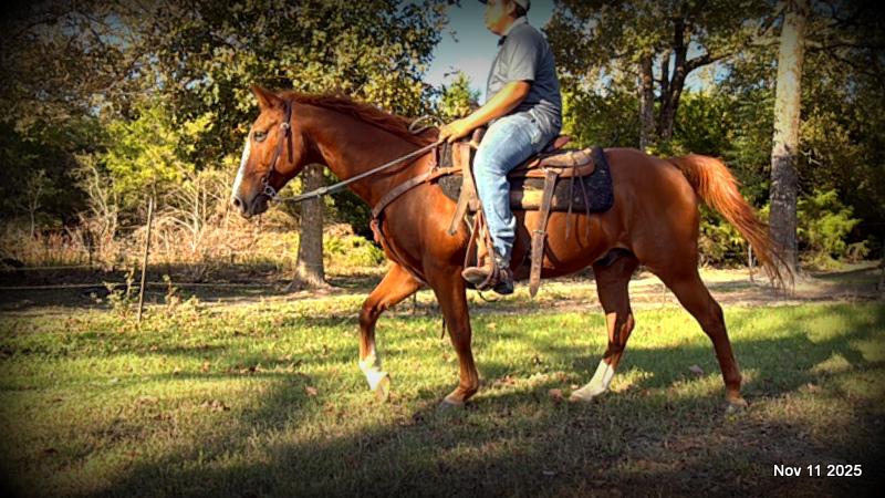 💚Ranger Safe for All Ages💚