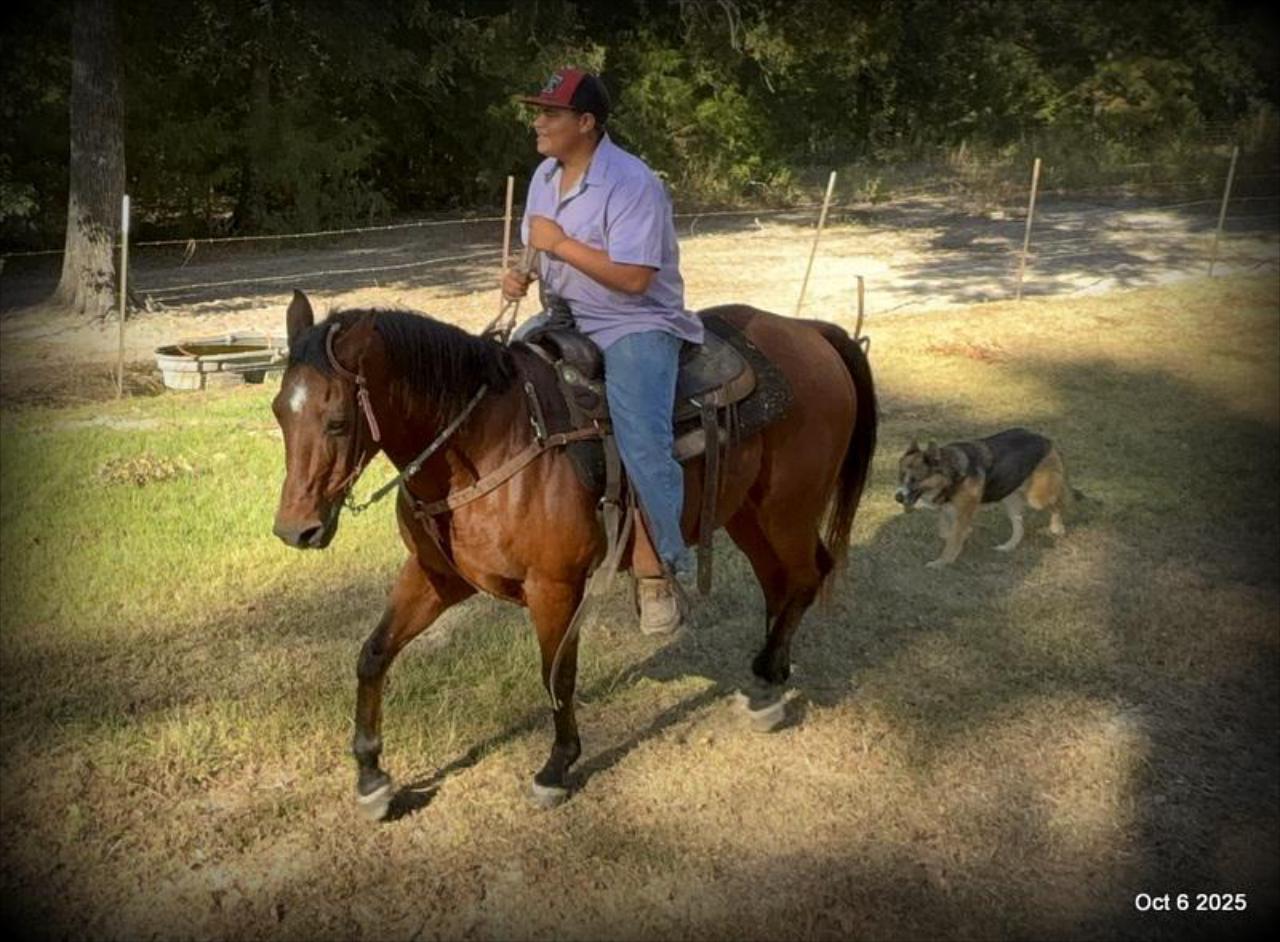🌟 Meet Brownie – Your All-Around Ranch and Trail Partner 🌟